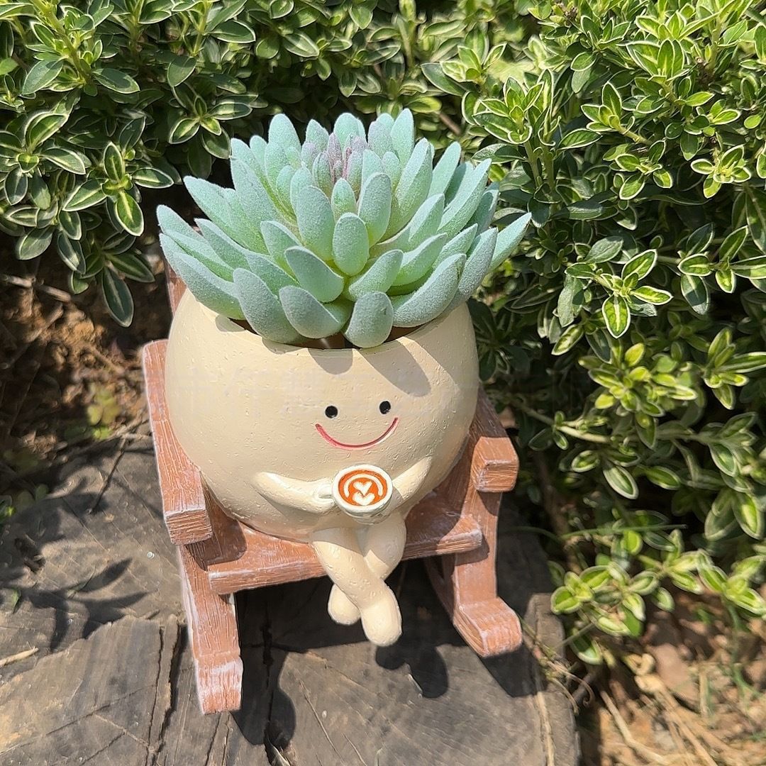 ✨ Rocking Smiley Face Planter😊