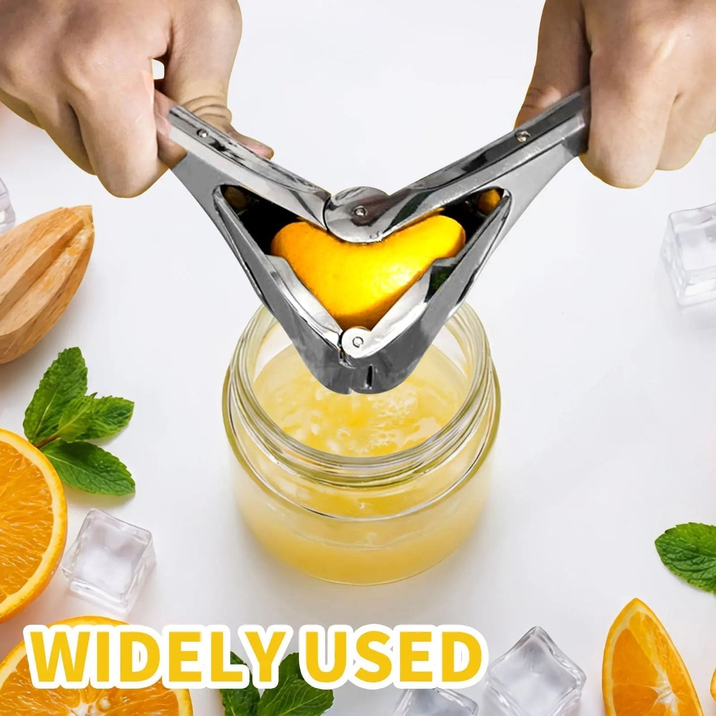 citrus-squeezer-stainless-steel-or-pp-5856