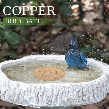 🔥Purifies Bird Bath Water