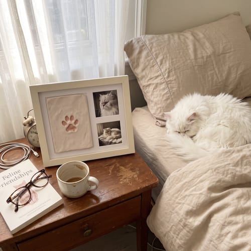 🔥DIY clay paw-print keepsake frame with space for two photos