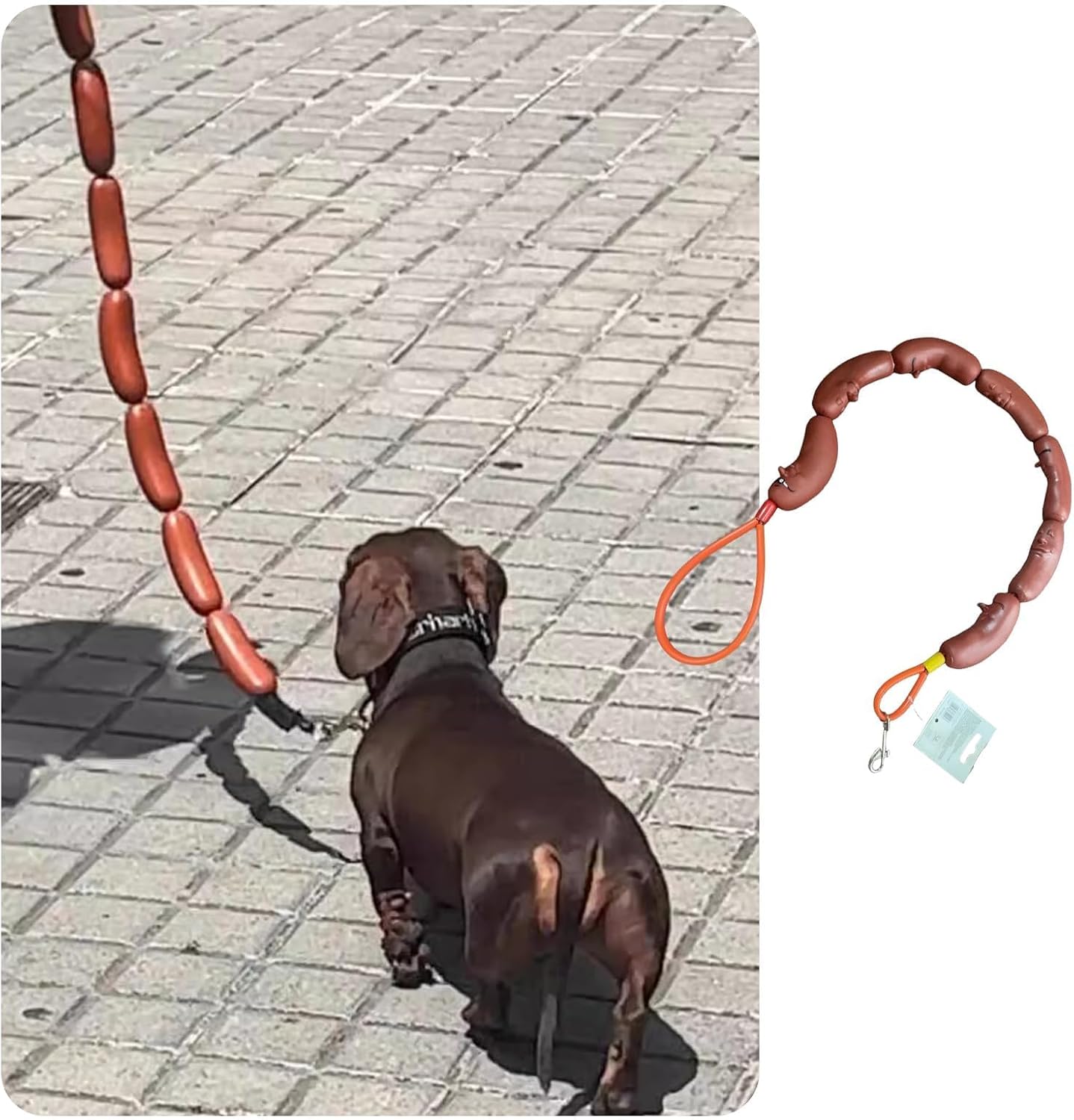 🎖️Sausage Leash Hot Dog Walking Gear
