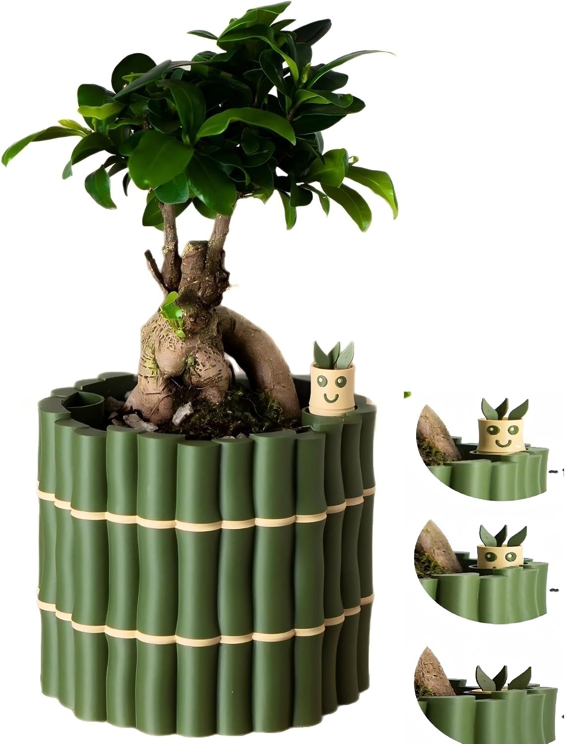 🎖️Self Watering Plant Pot with Bamboo Buddy Water Level Indicator