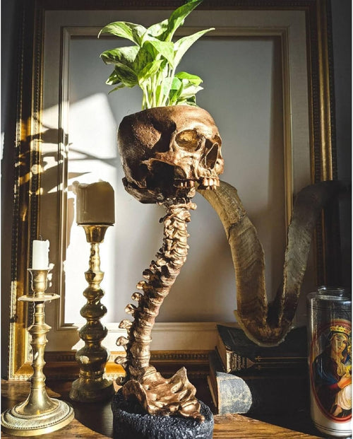 🎖️Resin Skull Planter Pot Gothic Home Decor Realistic Skull Shape Flower Pot