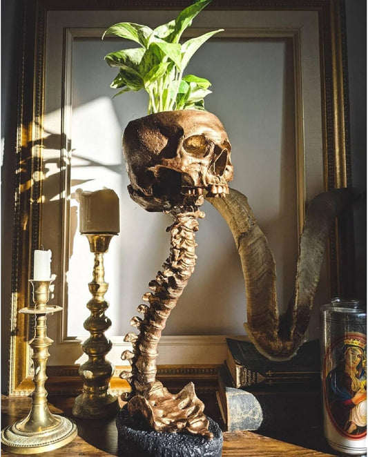 🎖️Resin Skull Planter Pot Gothic Home Decor Realistic Skull Shape Flower Pot