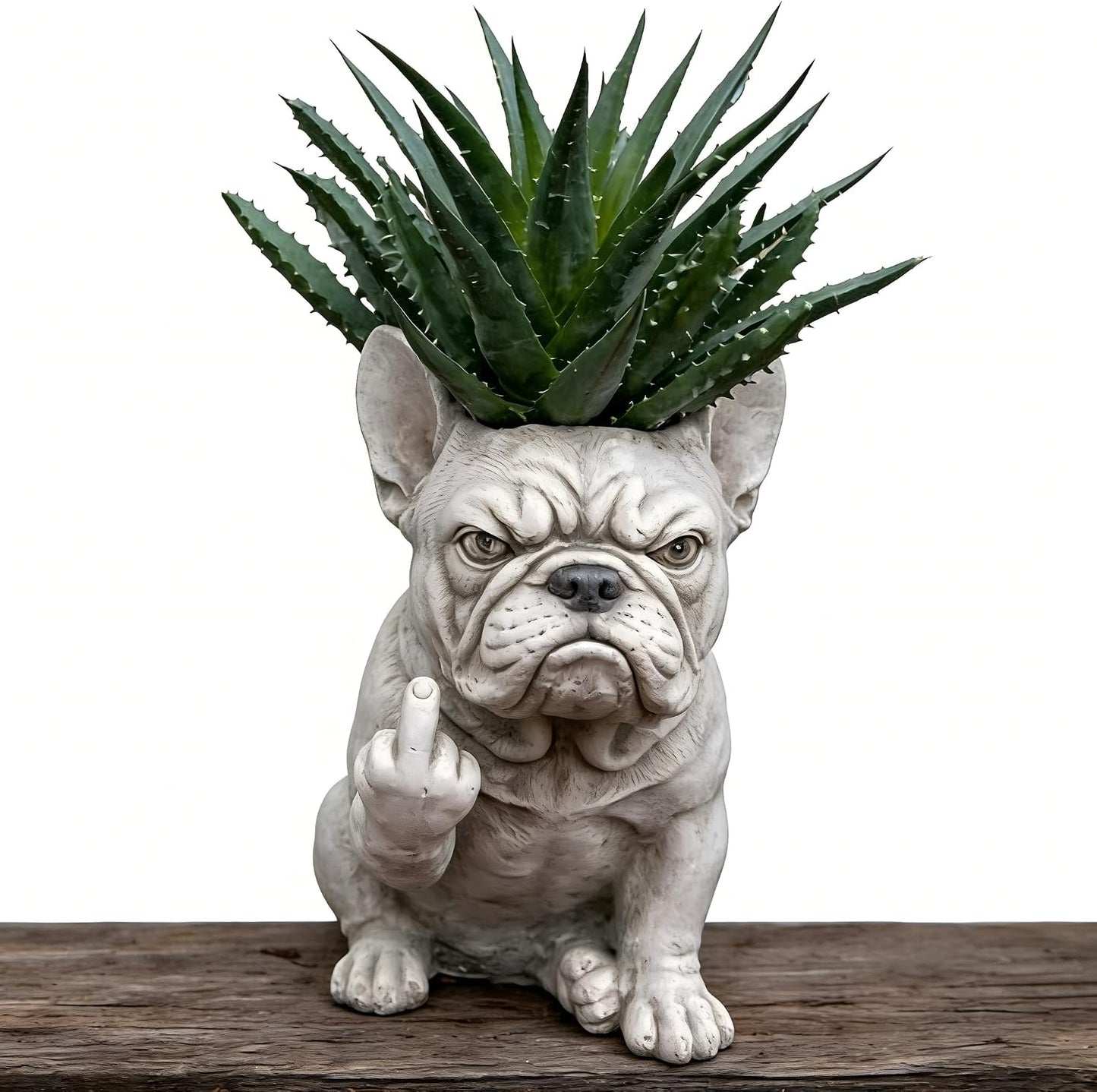 🎖️Funny French Bulldog Planter Pot