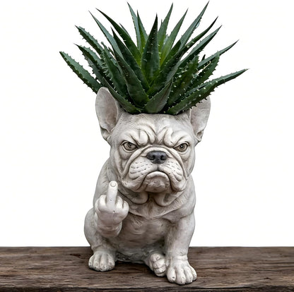 🎖️Funny French Bulldog Planter Pot