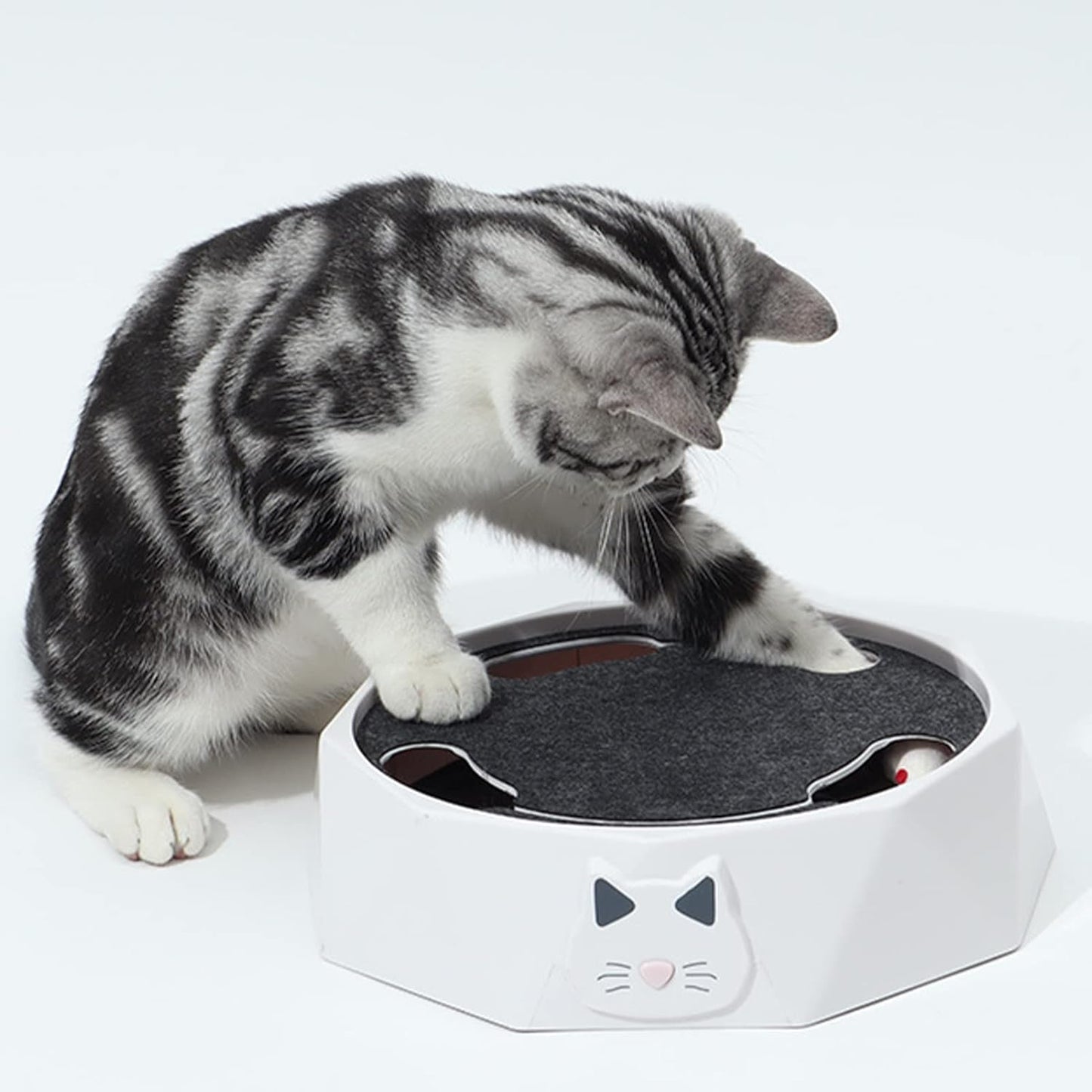 🔥Interactive Cat Turntable Toy