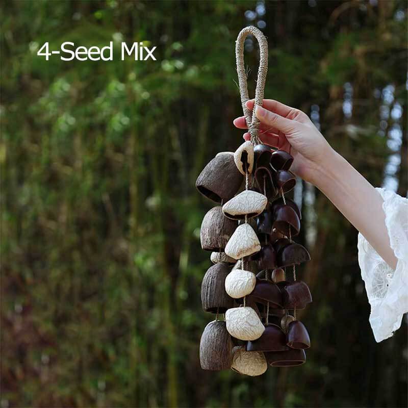 🔥Natural Salin Nutshells Sound Healing
