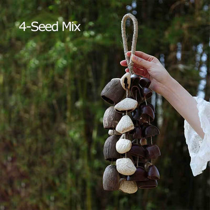 🔥Natural Salin Nutshells Sound Healing