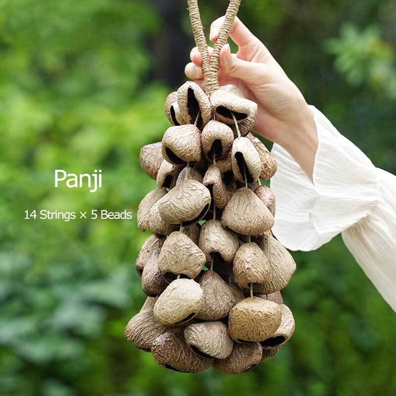 🔥Natural Salin Nutshells Sound Healing