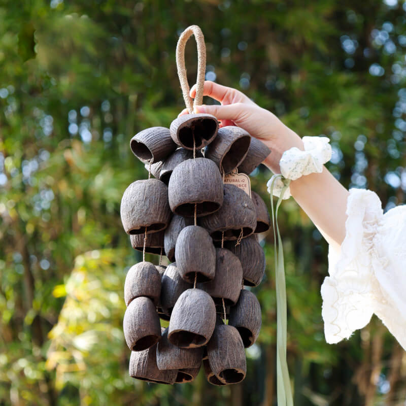 🔥Natural Salin Nutshells Sound Healing