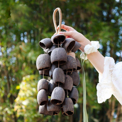 🔥Natural Salin Nutshells Sound Healing