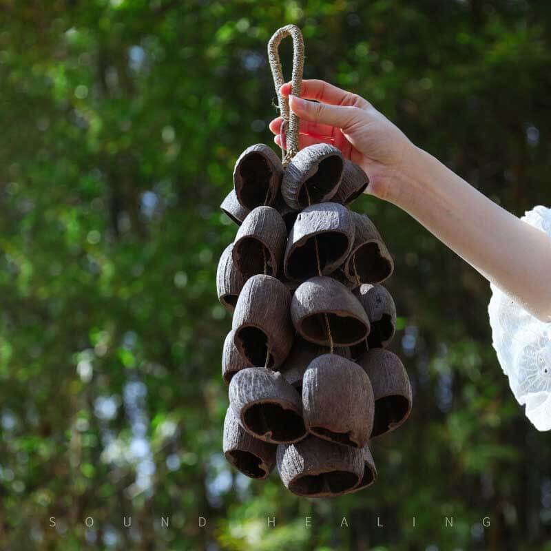 🔥Natural Salin Nutshells Sound Healing
