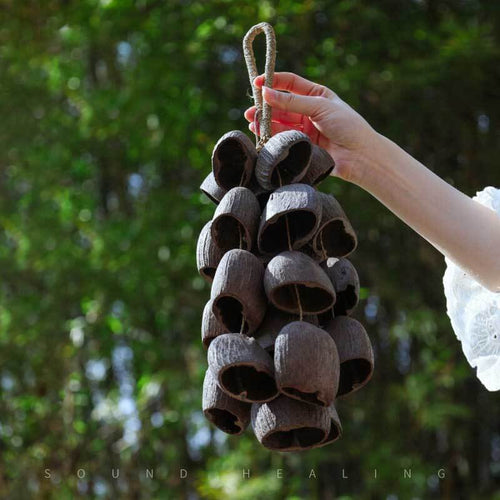 🔥Natural Salin Nutshells Sound Healing