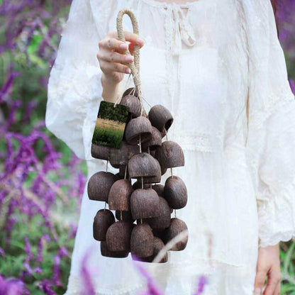 🔥Natural Salin Nutshells Sound Healing