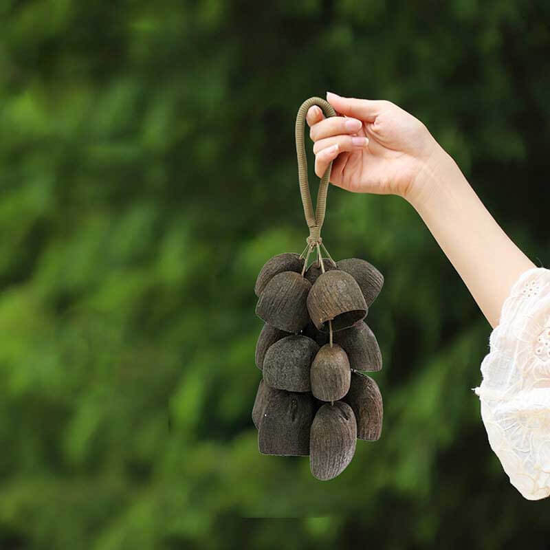 🔥Natural Salin Nutshells Sound Healing