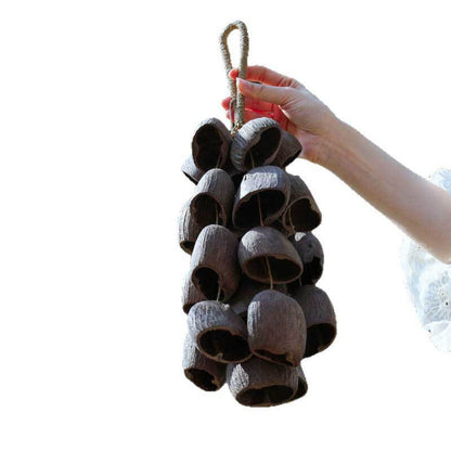 🔥Natural Salin Nutshells Sound Healing