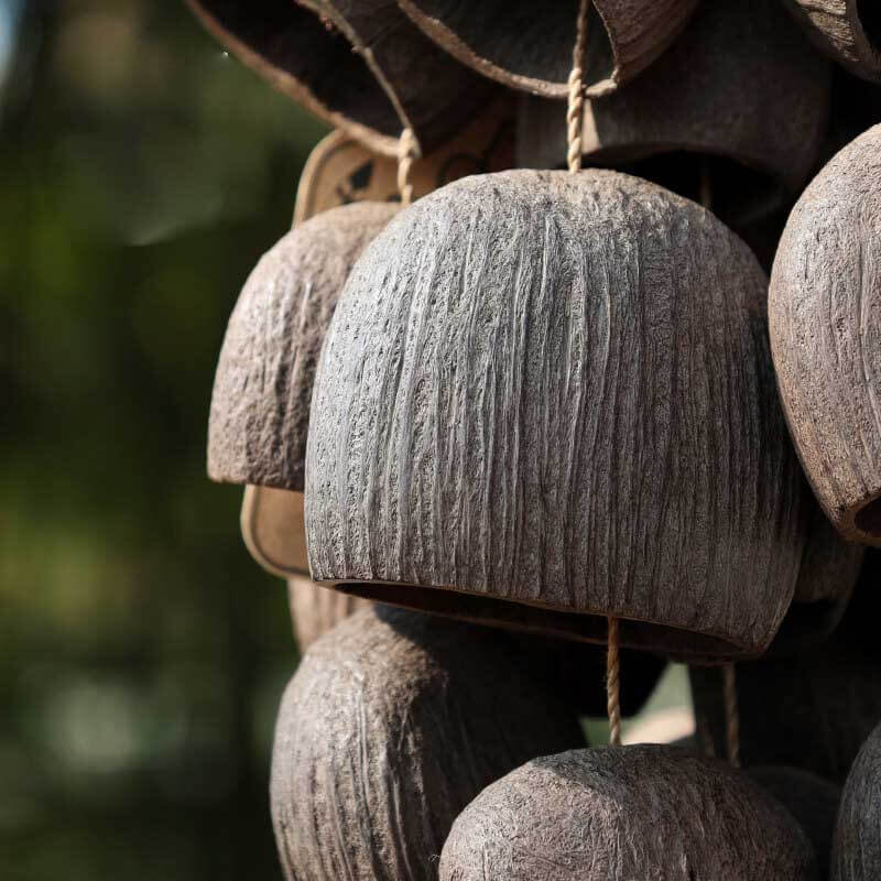 🔥Natural Salin Nutshells Sound Healing
