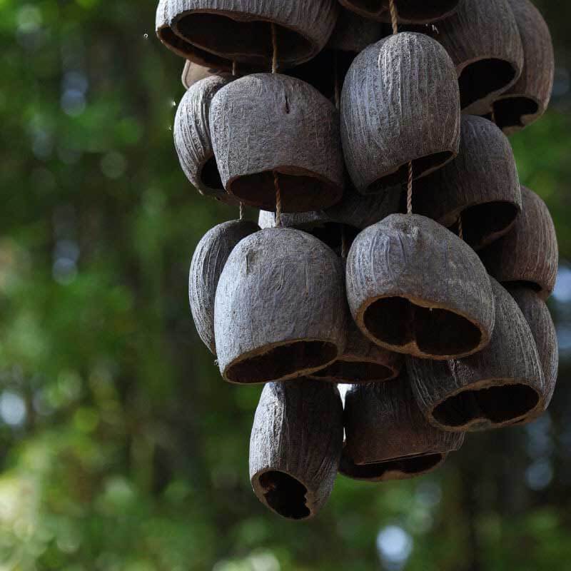 🔥Natural Salin Nutshells Sound Healing
