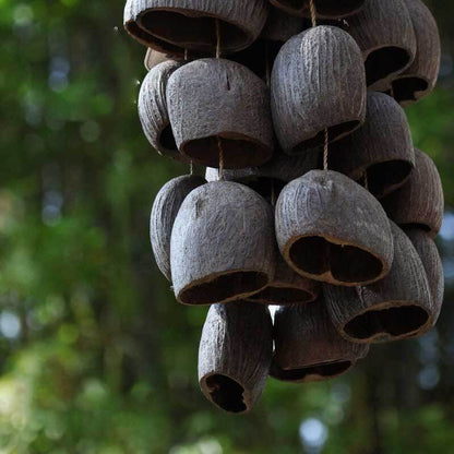 🔥Natural Salin Nutshells Sound Healing