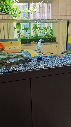 ✨Dancing Skeleton Bubble Aquarium Ornament