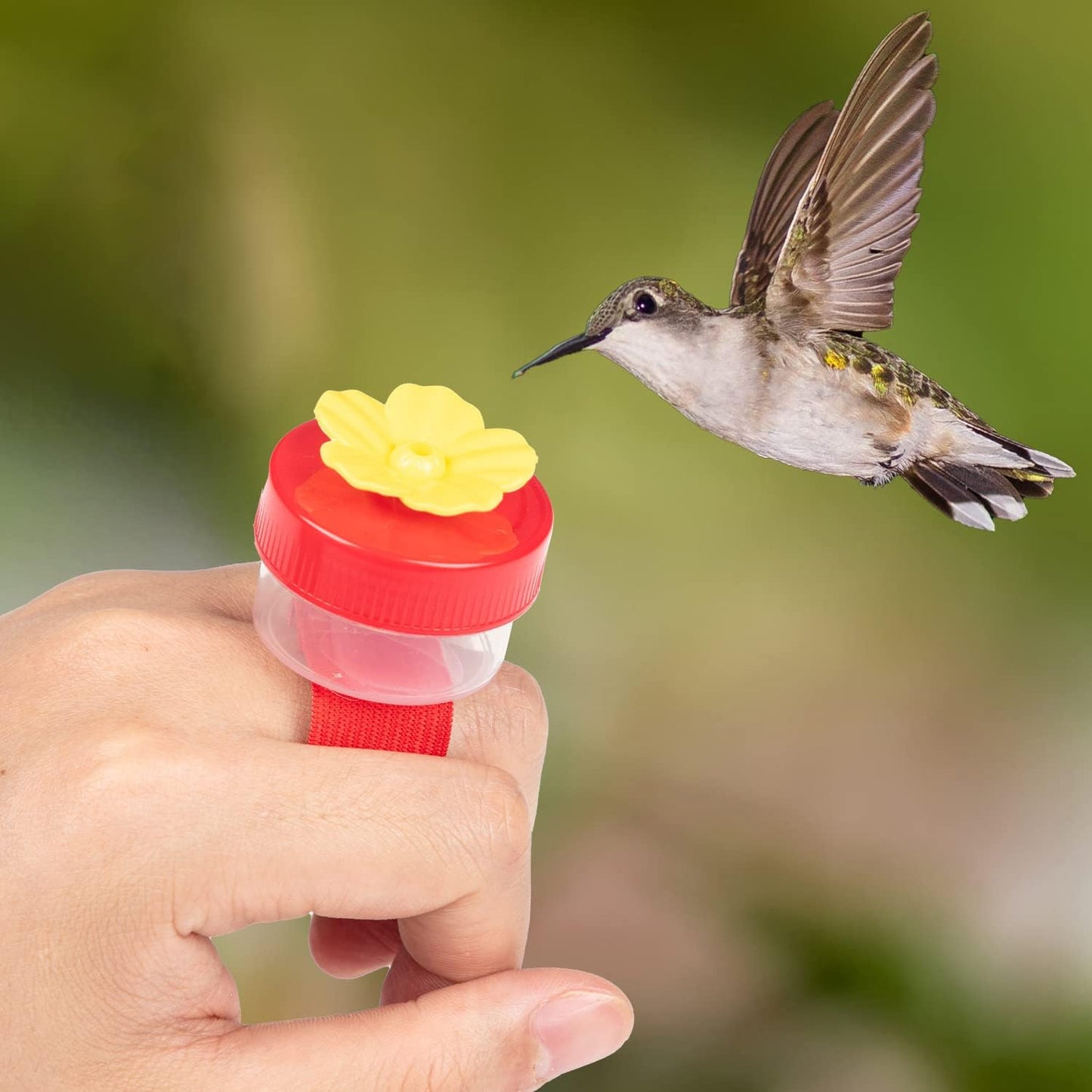 ✨ 4PCS Handheld Ring Hummingbird Feeder🐦