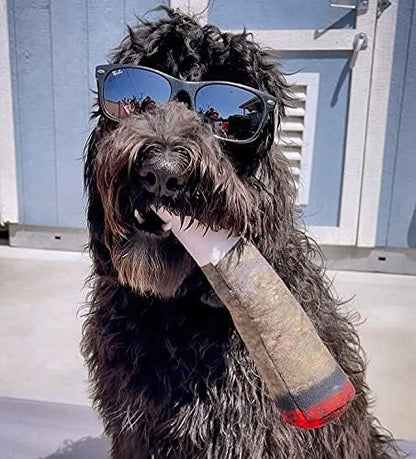 🎖️Funny Dog Toys - Plush Squeaky Toys