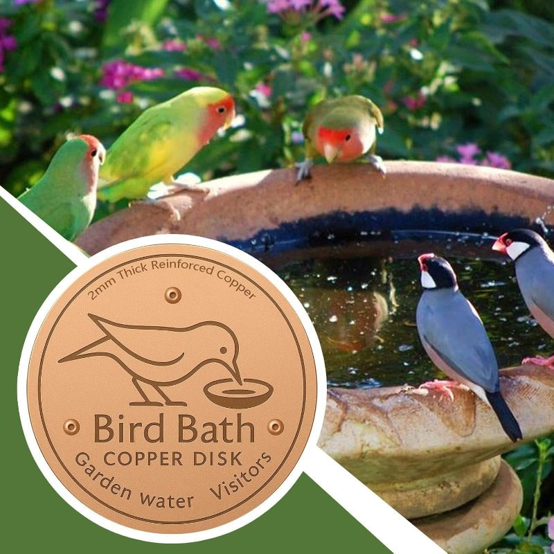 🔥Purifies Bird Bath Water