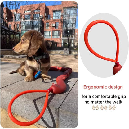 🎖️Sausage Leash Hot Dog Walking Gear