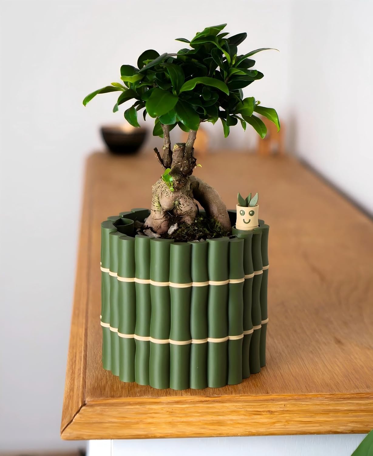 🎖️Self Watering Plant Pot with Bamboo Buddy Water Level Indicator