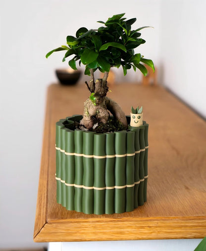 🎖️Self Watering Plant Pot with Bamboo Buddy Water Level Indicator
