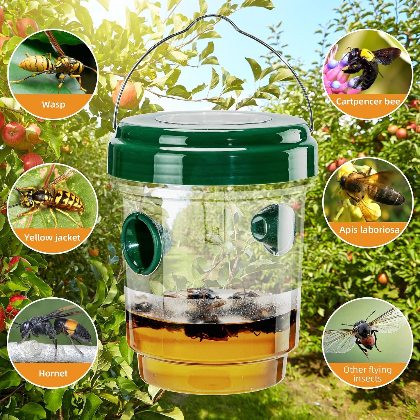 🎖️3Pcs Wasp Traps Outdoor Hanging, Carpenter Bees