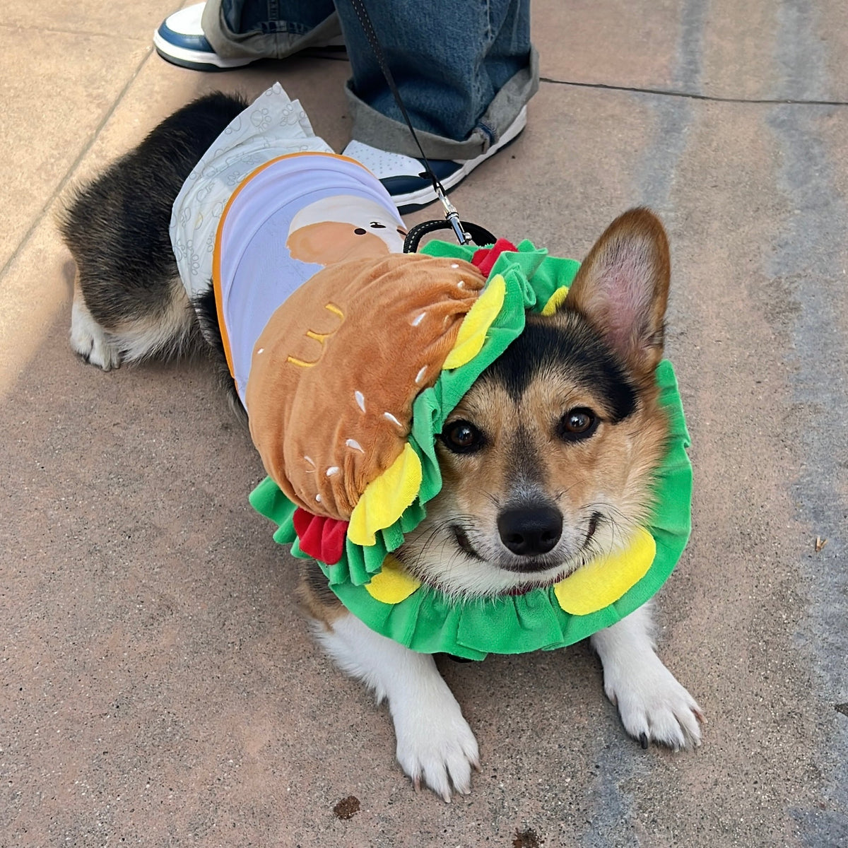 Pet Burger Plush Hat for Cats and Dogs - Lil Wild Pets