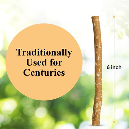 ✨HOT SALE 49% OFF🔥-Natural Toothbrush Stick Oral Daily Comfort