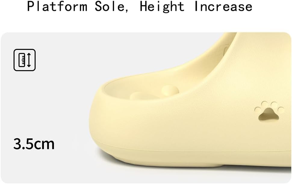 🎖️Cat Paw Slippers for Men & Women