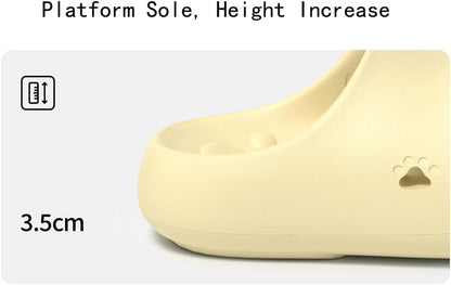 🎖️Cat Paw Slippers for Men & Women