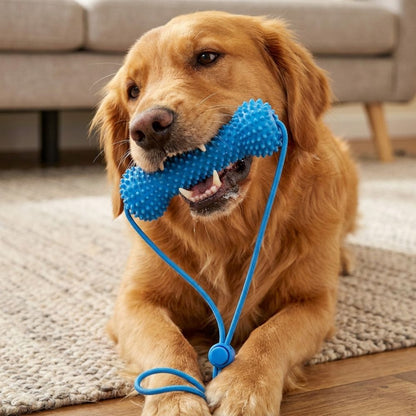🎖️Bite-Resistant Dog Teething Stick