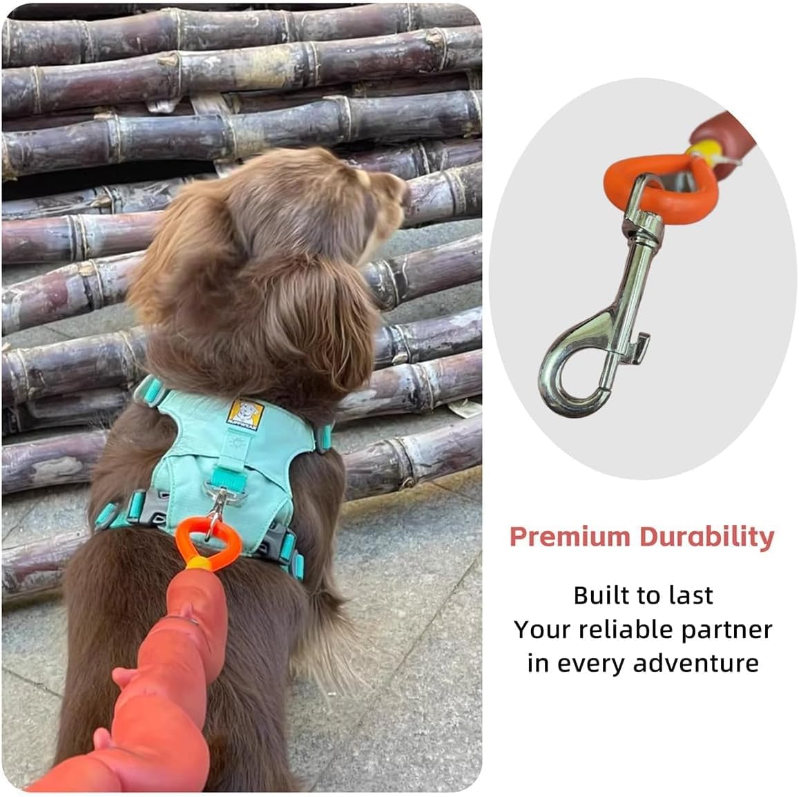 🎖️Sausage Leash Hot Dog Walking Gear