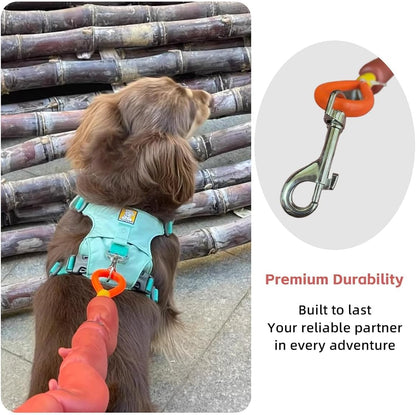 🎖️Sausage Leash Hot Dog Walking Gear