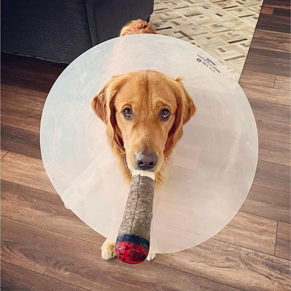 🎖️Funny Dog Toys - Plush Squeaky Toys