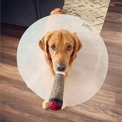 🎖️Funny Dog Toys - Plush Squeaky Toys