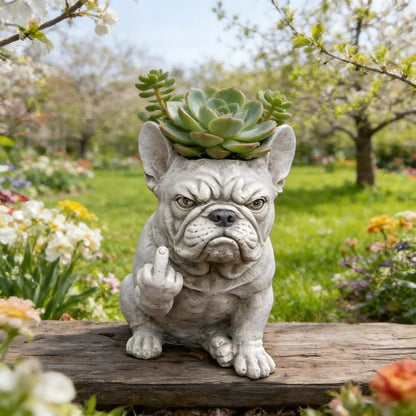 🎖️Funny French Bulldog Planter Pot