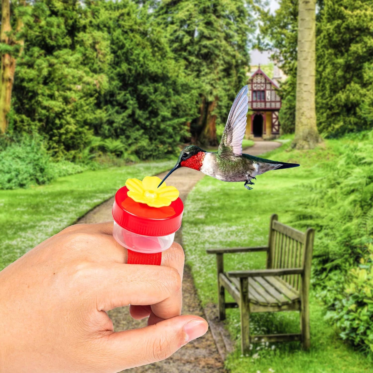✨ 4PCS Handheld Ring Hummingbird Feeder🐦