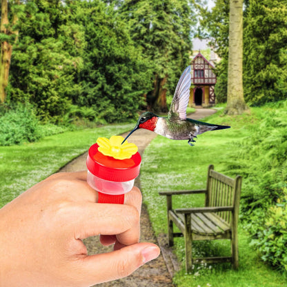 ✨ 4PCS Handheld Ring Hummingbird Feeder🐦