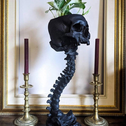 🎖️Resin Skull Planter Pot Gothic Home Decor Realistic Skull Shape Flower Pot
