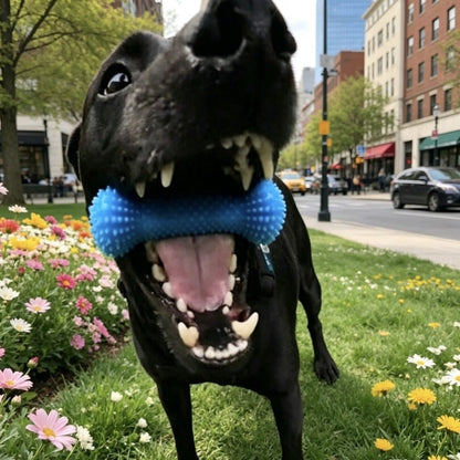 🎖️Bite-Resistant Dog Teething Stick