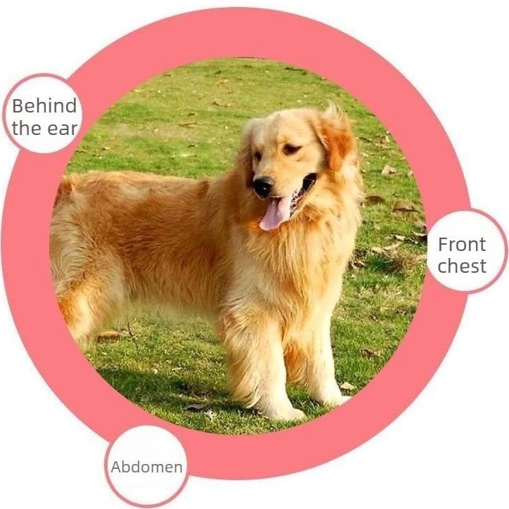 🔥Universal Pet Detangling Comb🐱🐶