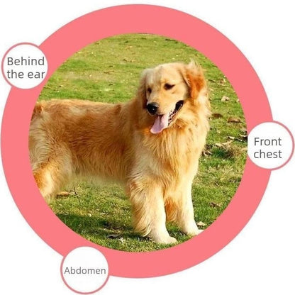 🔥Universal Pet Detangling Comb🐱🐶