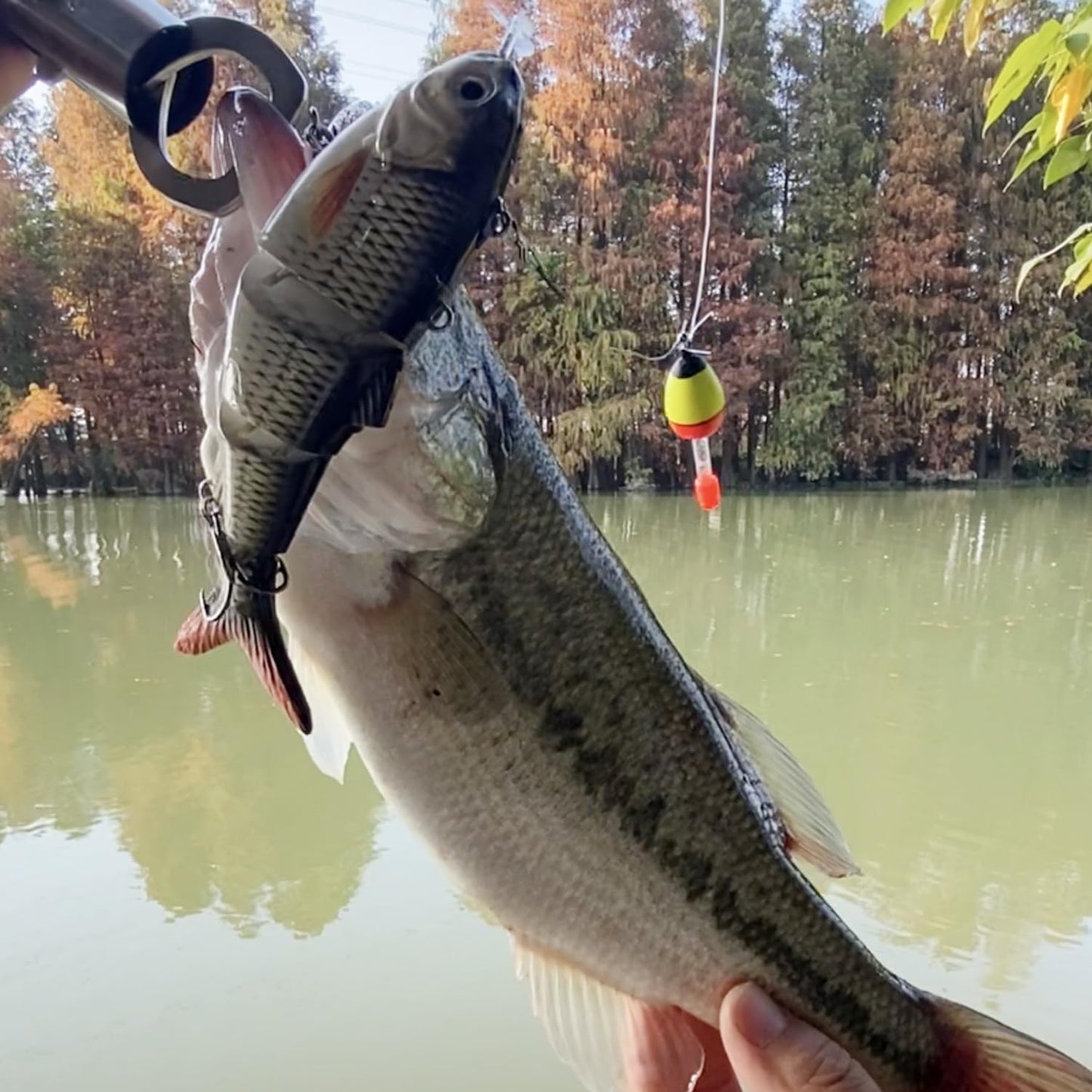 ✨Electric Robotic Swimming Fishing Lure🎣
