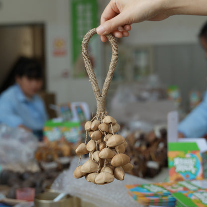 🔥Natural Salin Nutshells Sound Healing